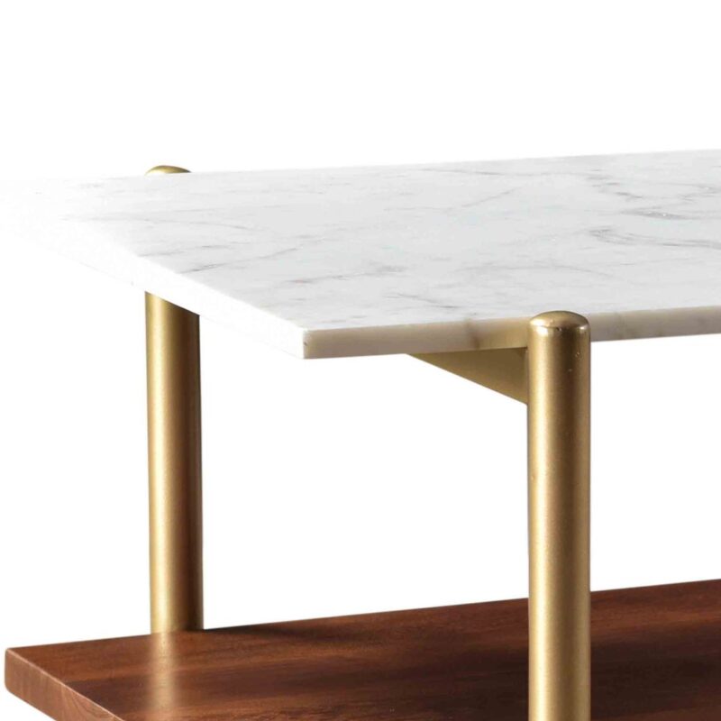 Mango Wood And Marble Coffee Table